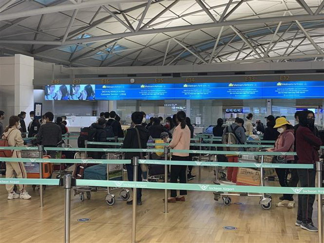 Đưa hơn 350 công dân Việt Nam từ Canada và Hàn Quốc về nước ảnh 1
