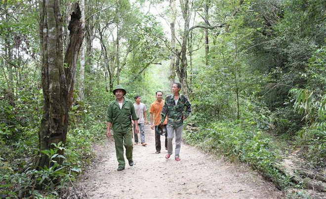 Anh Dương Xuân Kiếm (áo xanh, đi đầu) tại thôn 4, xã Đắk Jơ Ta (Mang Yang, Gia La) thuộc Ban Quản lý rừng phòng hộ Hà Ra tuần tra diện tích rừng nhận giao khoán. (Ảnh: Hồng Điệp/TTXVN) Gia Lai: Cảm hóa lâm tặc thành người bảo vệ rừng đắc lực ảnh 2