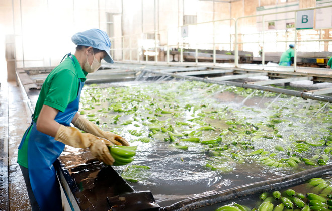 ttxvn_doanh nghiep viet nam tai lao 1.jpg