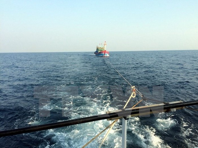 Các tàu cá và lao động bị nạn trên biển đã trở về bờ an toàn ảnh 1