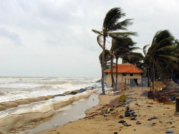 Chú trọng hơn nữa công tác thiết lập hành lang bảo vệ bờ biển ảnh 1