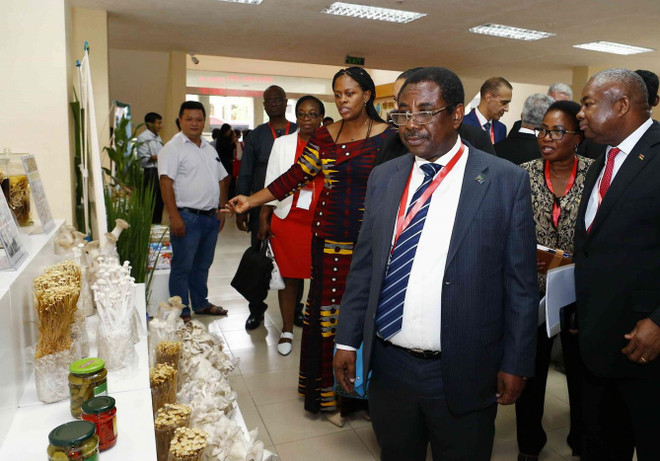 Đại sứ UAE: Việt Nam có những điều kiện thuận lợi để 'tỏa sáng' ảnh 1