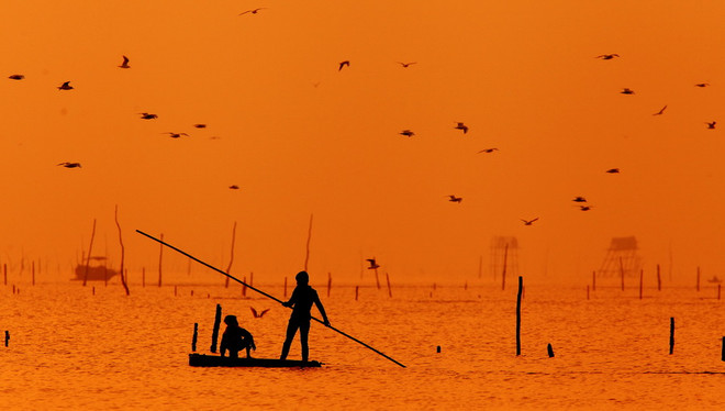 Tăng cường bảo vệ các loài chim di cư, bảo vệ đa dạng sinh học ảnh 1