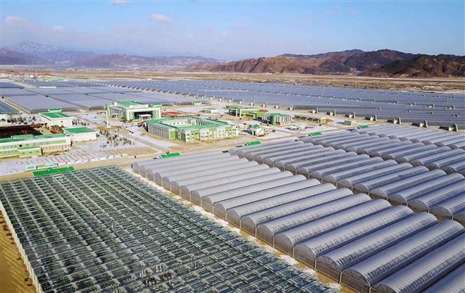 Triều Tiên họp nội các để thảo luận kế hoạch phát triển kinh tế ảnh 1