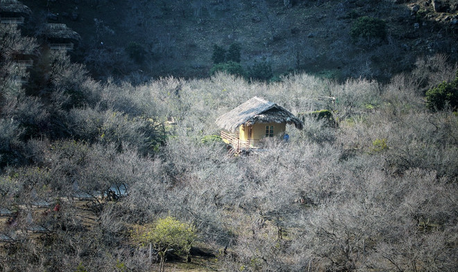 vnp_moc chau (2).jpg