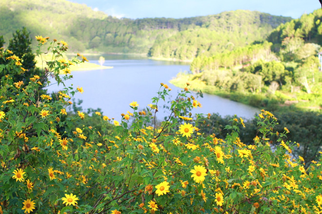 Du lịch Việt muốn phục hồi bền vững cần đi bằng ‘hai chân’ ảnh 3
