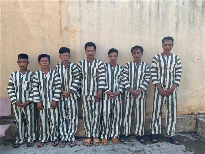 Gia Lai: Khởi tố, bắt tạm giam một nhân viên bảo vệ rừng ảnh 1