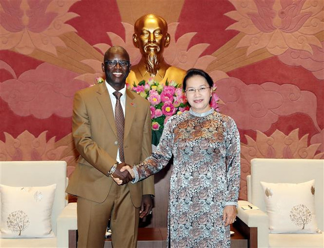 Chủ tịch Quốc hội tiếp Giám đốc quốc gia WB tại Việt Nam ảnh 1