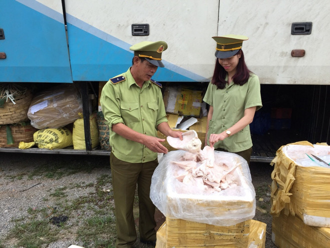 Bắt giữ ôtô vận chuyển hơn 700 kg lòng lợn đang phân hủy ảnh 1