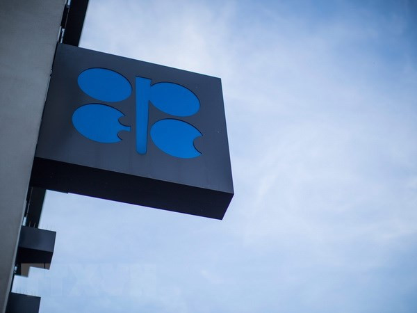 Tổng thống Mỹ cáo buộc OPEC thao túng thị trường dầu mỏ thế giới ảnh 1