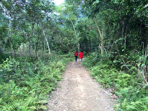 Du lịch Việt Hải: Nơi có Resort “treo” trong rừng... ảnh 1