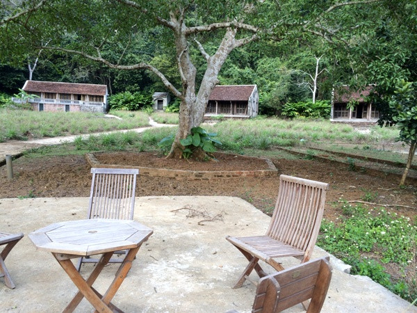 Du lịch Việt Hải: Nơi có Resort “treo” trong rừng... ảnh 2