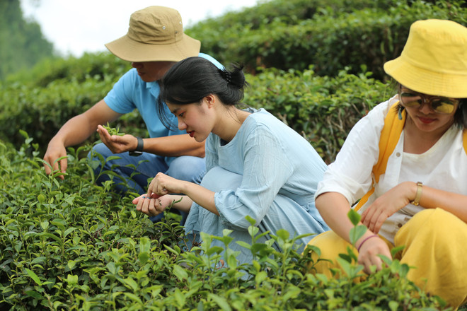 Ngành công nghiệp không khói: Thay đổi mạnh mẽ để thích nghi ảnh 2