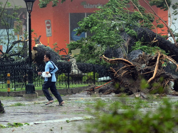 LHQ: Số người chết vì bão Haiyan ở Philippines còn tăng ảnh 1