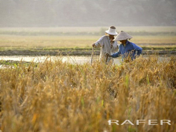 Nhiếp ảnh gia người Tây Ban Nha bị Việt Nam hút hồn ảnh 1