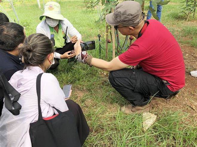 Thành phố Hồ Chí Minh: Giới thiệu nhiều tour du lịch mới lạ dịp 2/9 ảnh 2