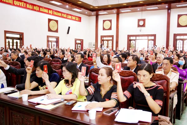 Xây dựng Pleiku thành đô thị thông minh, cao nguyên xanh vì sức khỏe ảnh 1