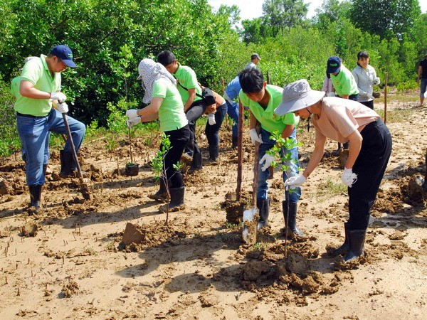 Chỉ 4,2% doanh nghiệp niêm yết công bố chính sách về bảo vệ môi trường ảnh 1