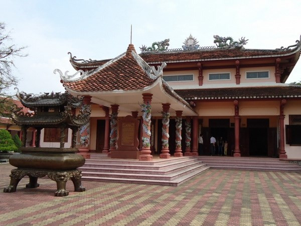 Phát huy tiềm năng du lịch vùng đất địa linh nhân kiệt Tây Sơn ảnh 1