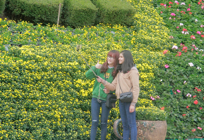 Khai mạc không gian hoa nghệ thuật quanh Công viên hồ Xuân Hương ảnh 1