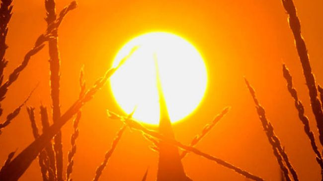 Nhiệt độ toàn cầu đã tăng thêm 1 độ C kể từ đầu thế kỷ 20 ảnh 1