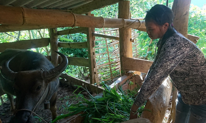 Hệ lụy xuất cảnh trái phép đi làm thuê: Cần tạo việc làm cho người dân ảnh 1