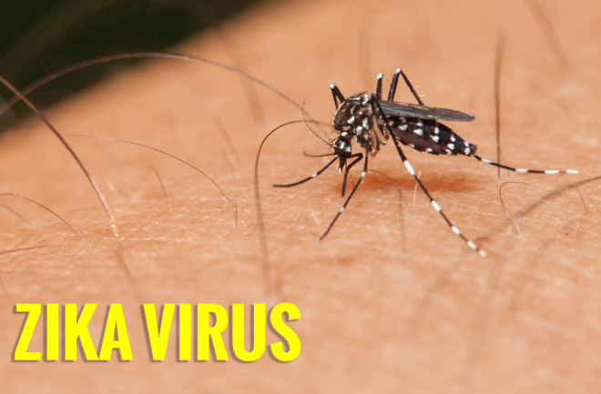 Các nhà khoa học Mỹ lần đầu tiên nhân bản thành công virus Zika ảnh 1
