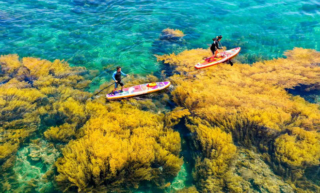 Du lịch Việt Nam sắp “cán mốc” lượng khách quốc tế cả năm 2023 ảnh 1