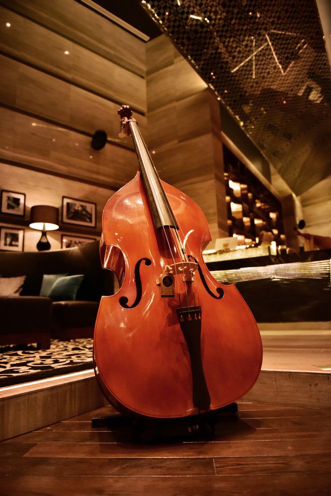 Độc đáo câu lạc bộ jazz 5 sao phong cách cổ điển thập niên 20 ảnh 7