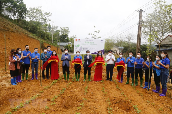 Tuyên Quang: Đoàn Thanh niên TTXVN trồng cây xanh tại xã Trung Yên ảnh 1