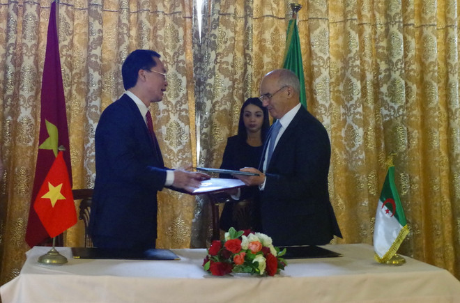Đa dạng hóa hơn nữa mối quan hệ song phương Việt Nam-Algeria ảnh 1