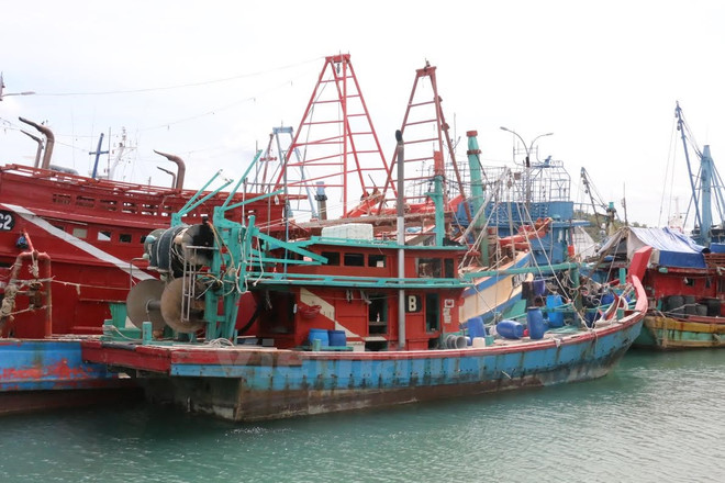 Ảnh minh họa. (Nguồn: Vietnam+) Xác minh thông tin về 43 ngư dân Việt Nam bị bắt ở Solomon ảnh 1