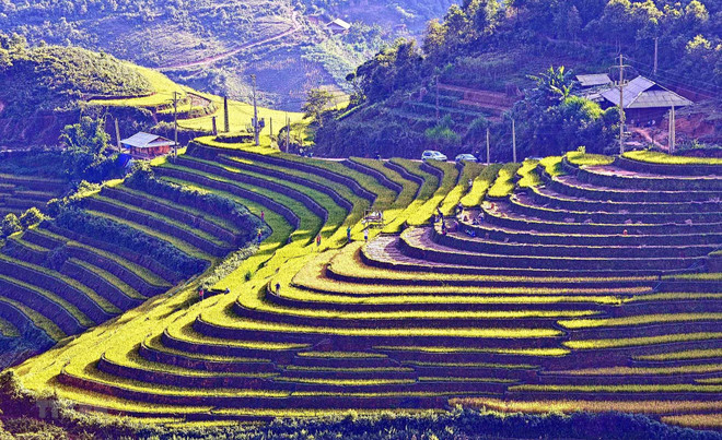 Lượng khách du lịch đổ về Mù Cang Chải ngày càng tăng mạnh ảnh 1