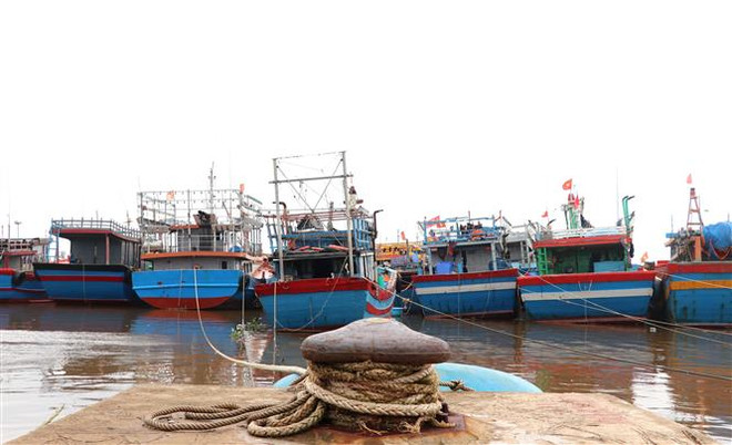 Từ đêm 13/10, bão số 8 gây gió giật đến cấp 10, biển động rất mạnh ảnh 1