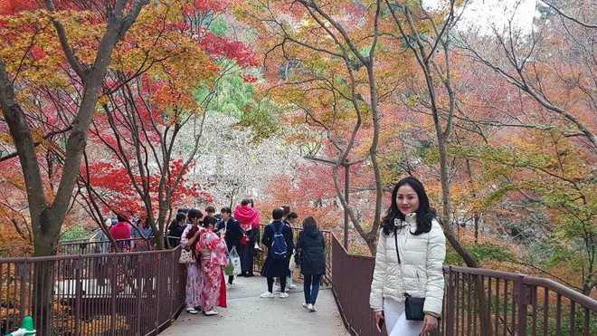 Du lịch tâm linh và ngắm hoa Xuân hút du khách đầu năm mới ảnh 3