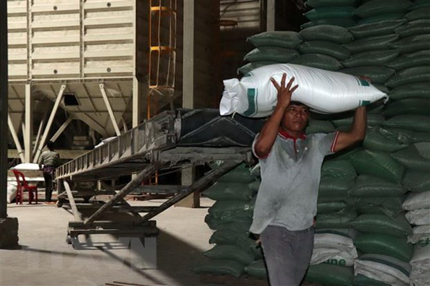 Điểm lại thị trường nông sản tuần qua: Giá gạo châu Á tiếp tục tăng ảnh 1