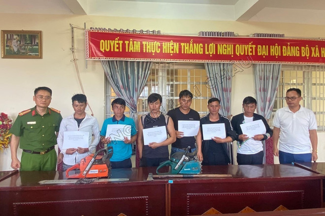 Lai Châu: Tạm giữ hình sự 8 đối tượng trong vụ phá rừng phòng hộ ảnh 2