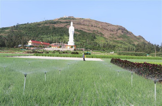 Quảng Ngãi: Nguồn nước ngầm trên đảo Lý Sơn ngày càng cạn kiệt ảnh 3