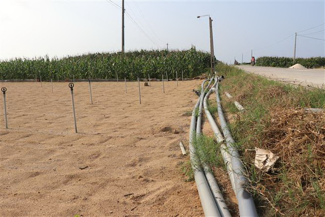 Quảng Ngãi: Nguồn nước ngầm trên đảo Lý Sơn ngày càng cạn kiệt ảnh 2