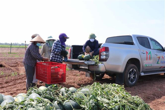 Những suất cơm ấm tình người nơi tâm dịch COVID-19 ở Bắc Ninh ảnh 3