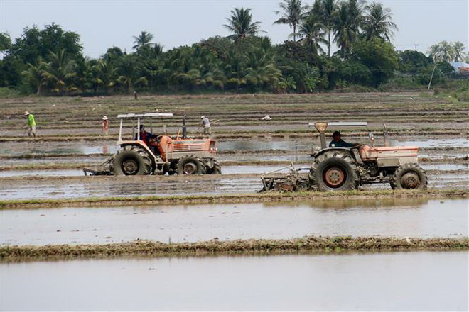 Chuẩn bị phương án lấy nước phục vụ gieo cấy lúa vụ Đông Xuân ảnh 1