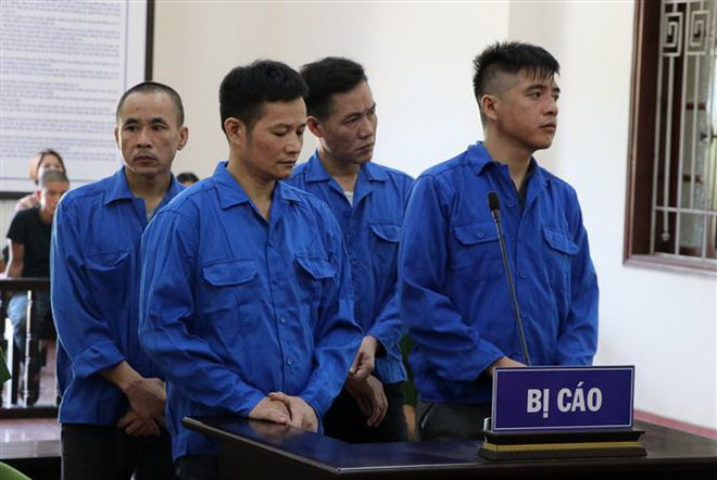 Các bị cáo Đào Xuân Hùng, Hoàng Ánh Dương, Hoàng Huy Bình và Hoàng Xuân Hòa tại phiên tòa nghe Hội đồng xét xử tuyên án. (Ảnh: Vũ Hà/TTXVN) Phạt tù các đối tượng tàng trữ ma túy và không tố giác tội phạm ảnh 1