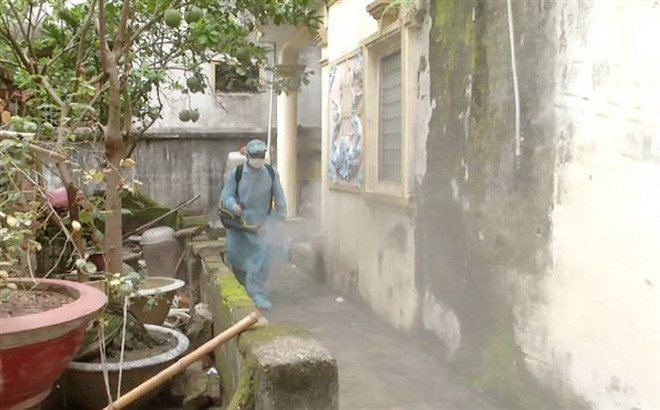 Bộ Y tế: Số người mắc sốt xuất huyết có xu hướng gia tăng ảnh 1