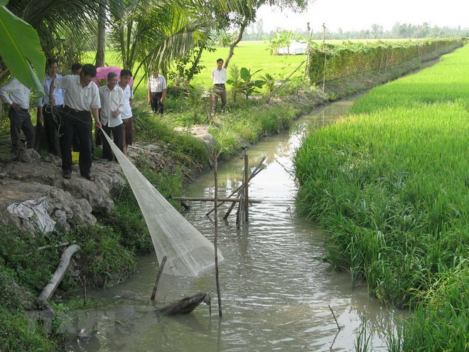 Hóa giải thách thức, phát triển bền vững Đồng bằng sông Cửu Long ảnh 2