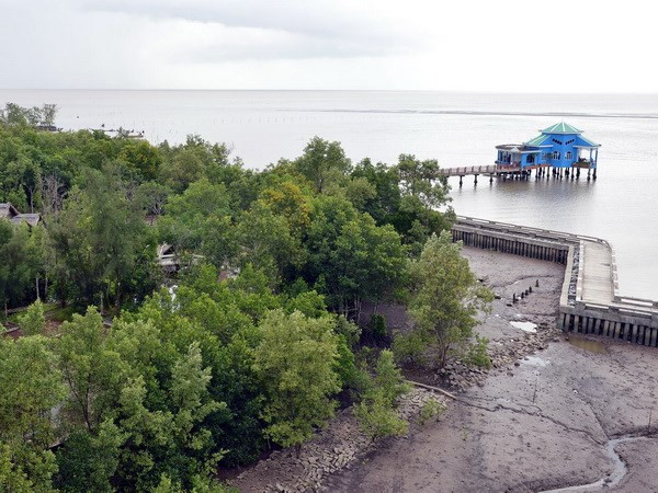 Phát triển du lịch rừng ngập mặn kết hợp nuôi trồng thủy sản ảnh 1