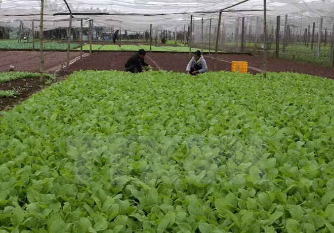 Tăng cường kết nối, phát triển Vùng kinh tế trọng điểm phía Nam ảnh 2