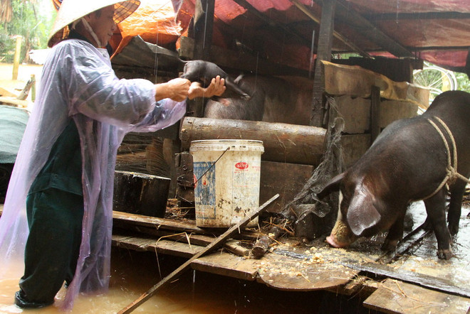 Người dân vùng rốn lũ Hương Khê khắc khoải chờ nước rút ảnh 5