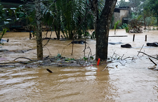 Người dân vùng rốn lũ Hương Khê khắc khoải chờ nước rút ảnh 7