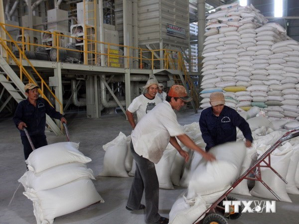 Hỗ trợ hơn 300 tấn gạo cho tỉnh Tuyên Quang để cứu đói ảnh 1