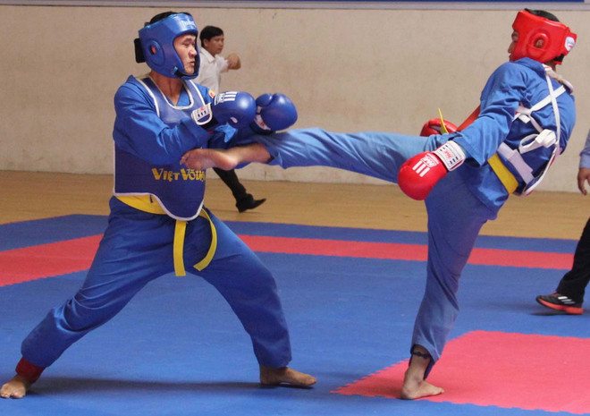 Nhiều môn phái hội tụ tại Liên hoan võ thuật quốc tế TP.HCM ảnh 1